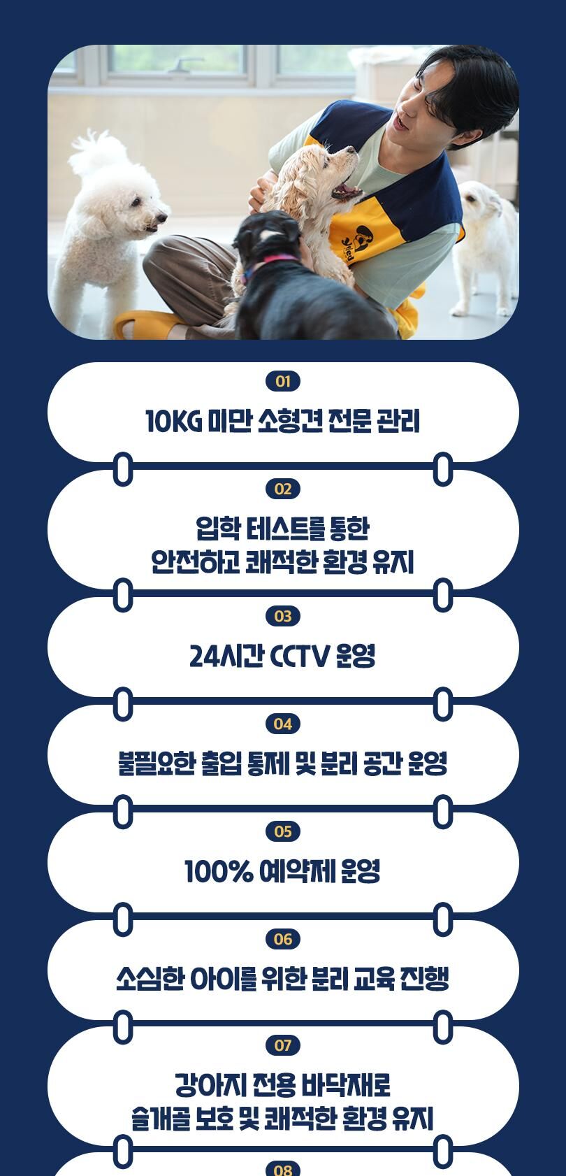 옐레드 대구신월성점 애견유치원 애견호텔 이용권 상세 이미지 10