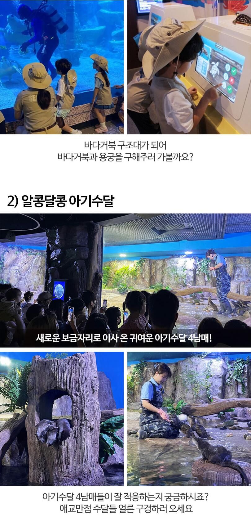 [부산] 아쿠아리움 시티즈 원더월드 입장권 상세 이미지 11