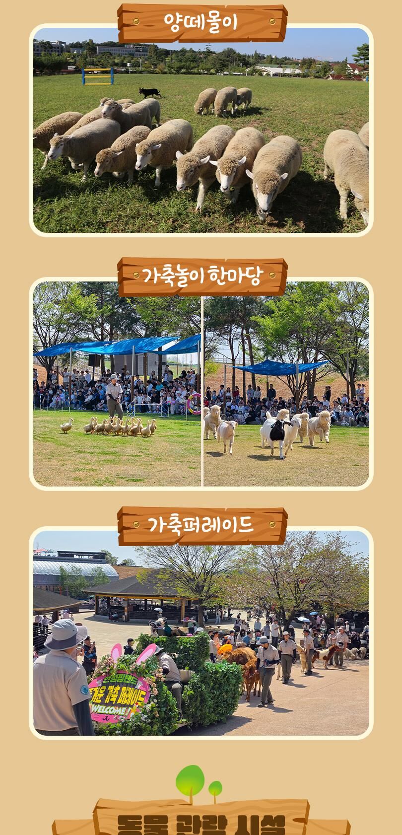 안성팜랜드 입장권(6/8~8/31) 상세 이미지 13