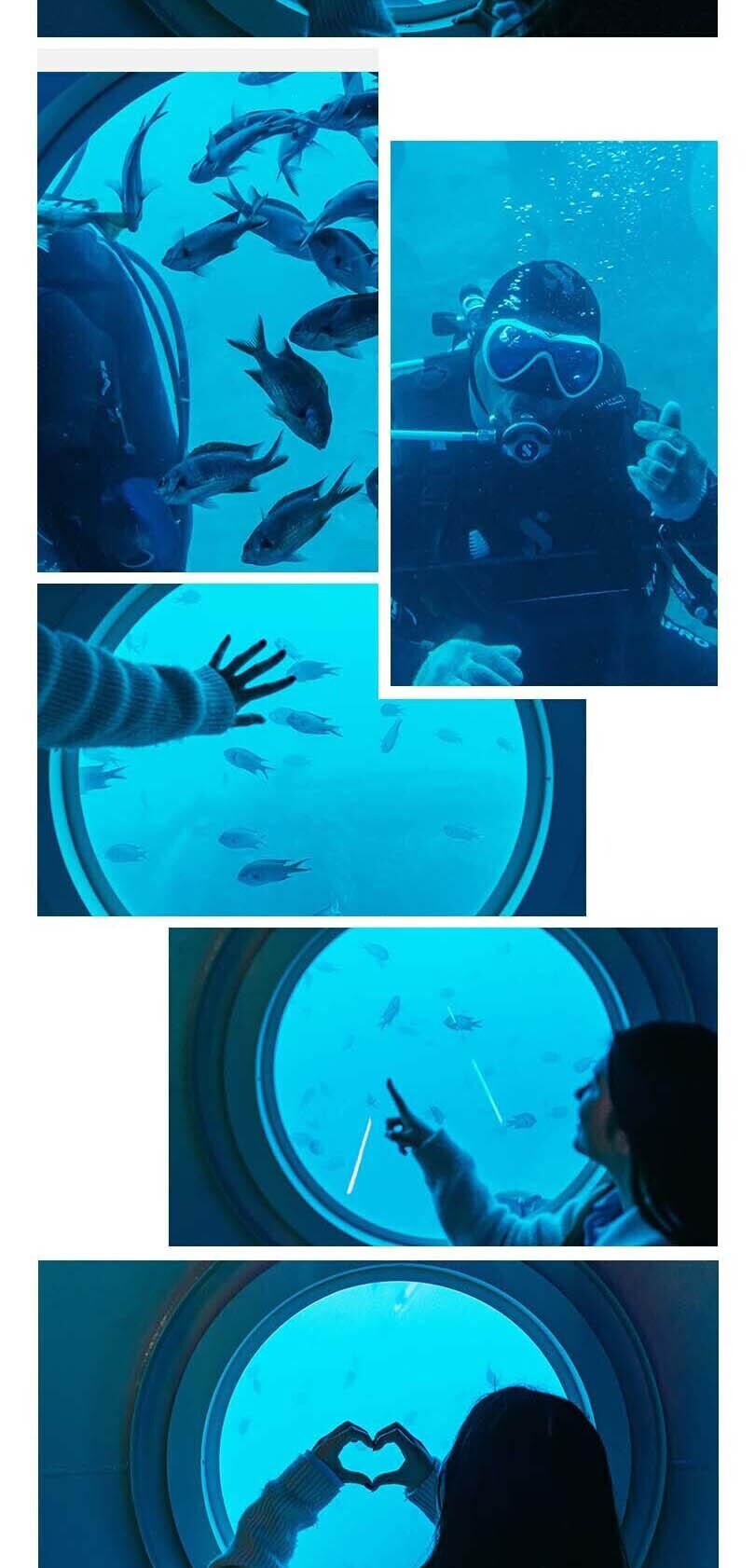 해저와인과함께하는 우도잠수함 +우도도항선 상세 이미지 9