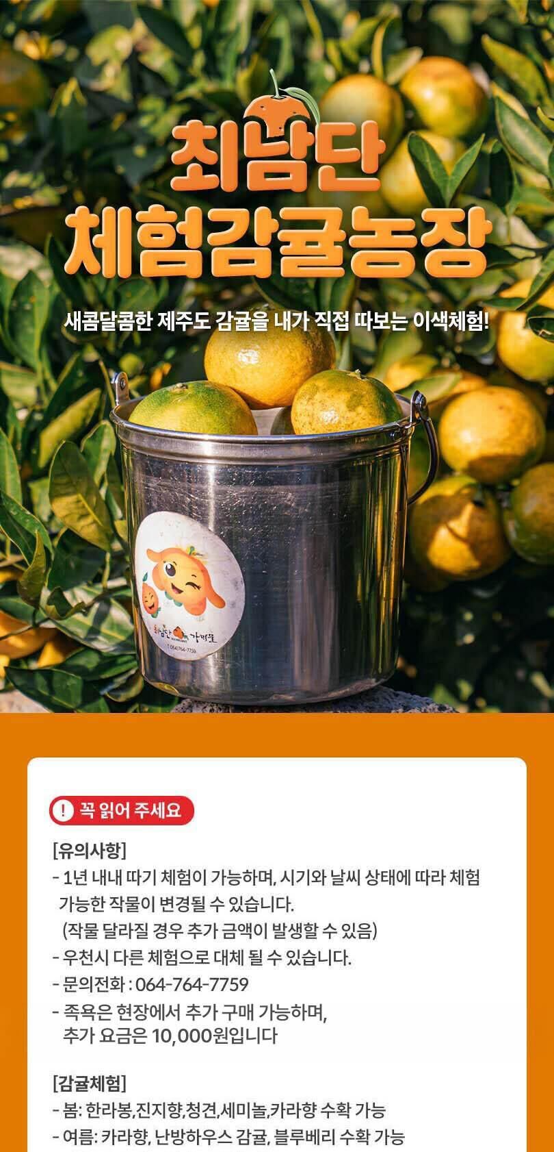 [제주] 제주 최남단 체험감귤농장 상세 이미지 1