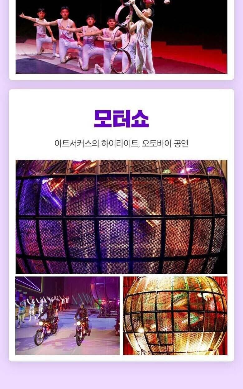 [제주] 아트서커스 상세 이미지 5