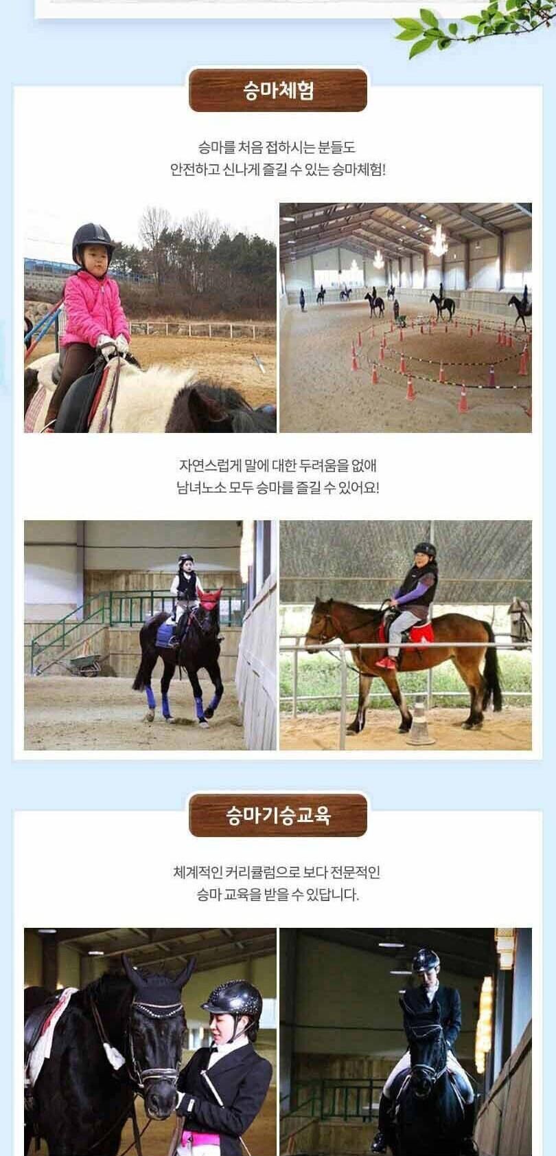 [경기 이천] 파밀리에 승마장 승마체험(입장권/승마체험/레슨/재활) 상세 이미지 6