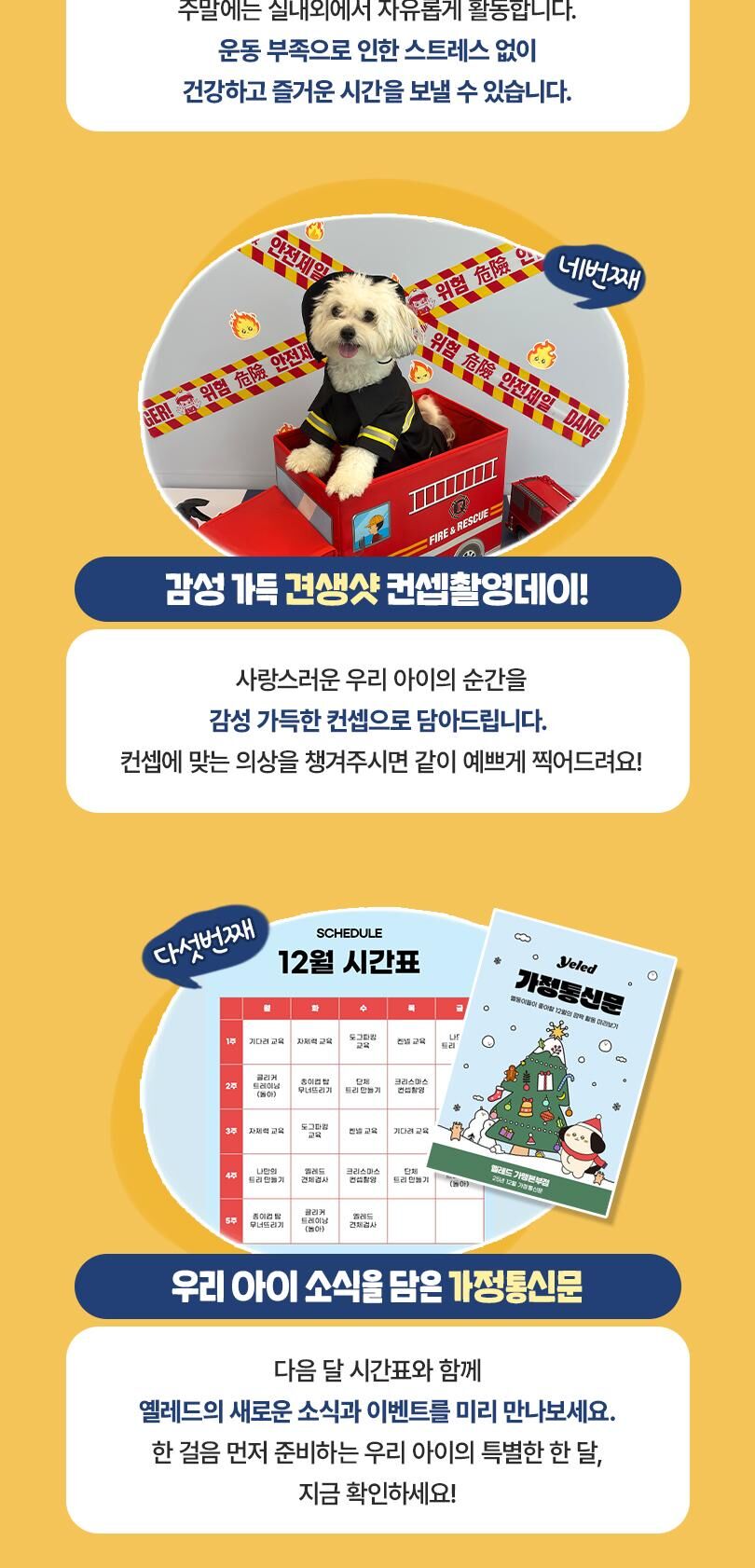 옐레드 더북한산점 애견유치원 애견호텔 이용권 상세 이미지 9