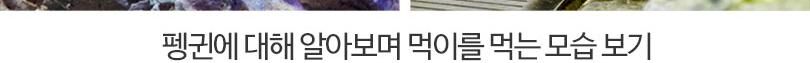 [부산] 아쿠아리움 시티즈 원더월드 입장권 상세 이미지 16