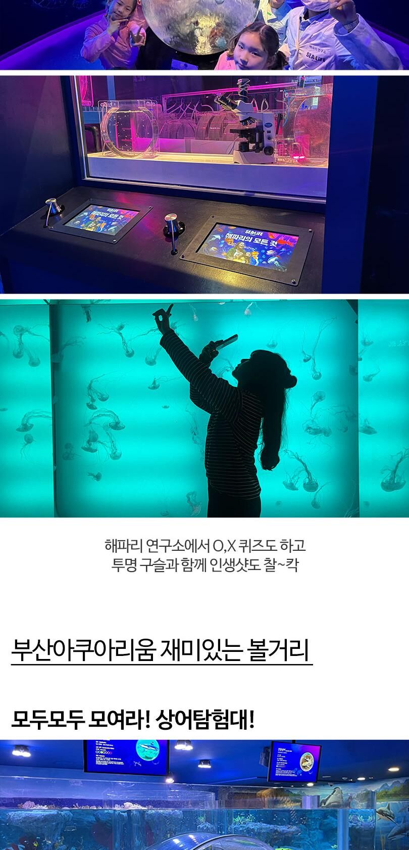 [부산] 아쿠아리움 시티즈 원더월드 입장권 상세 이미지 7