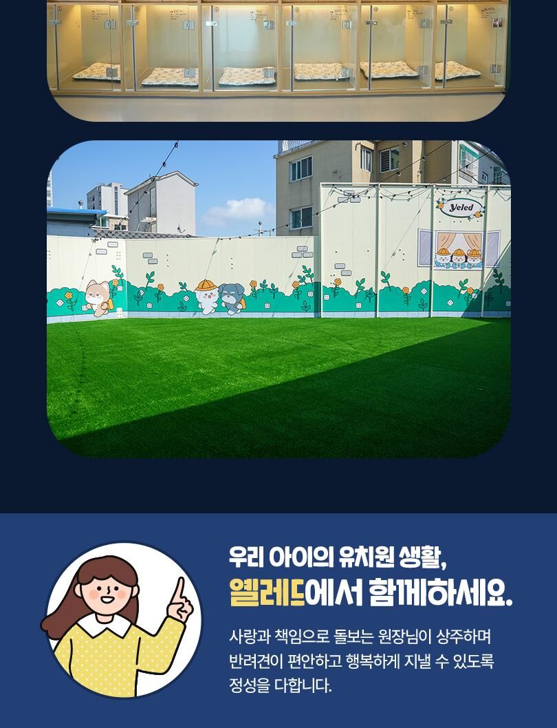 옐레드 인천구월점 애견유치원 애견호텔 이용권 상세 이미지 12