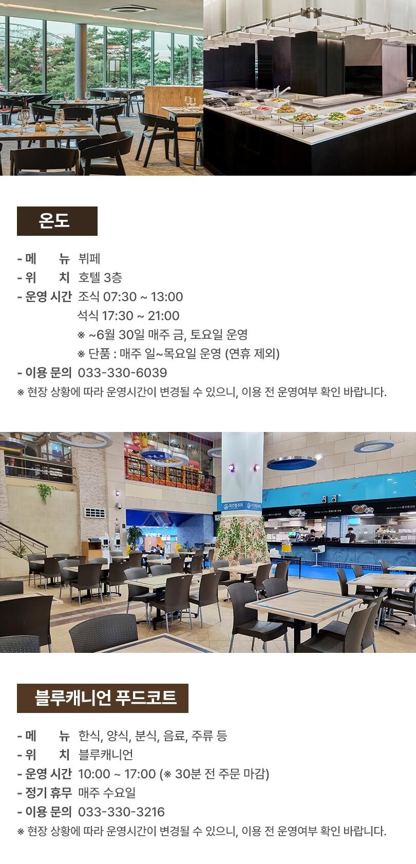 [공식판매처] 휘닉스파크 블루캐니언 블루2 시즌 입장권 (~7/16 이용가능) 상세 이미지 13