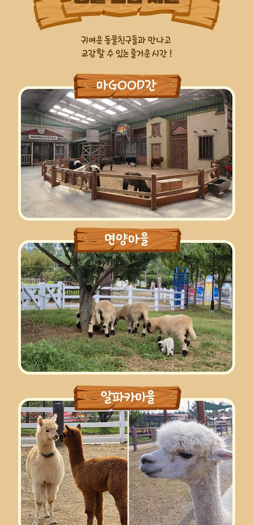 안성팜랜드 입장권(6/8~8/31) 상세 이미지 14