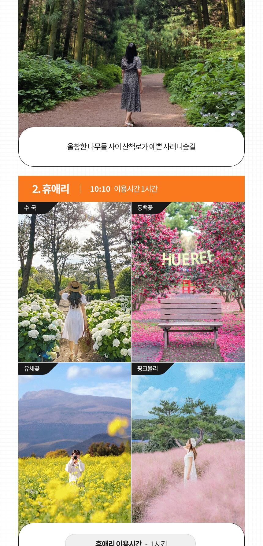 제주 동부 버스투어 트립이즈마인 상세 이미지 14