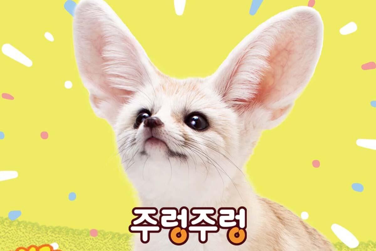 [경북]주렁주렁 실내 동물원 경주점