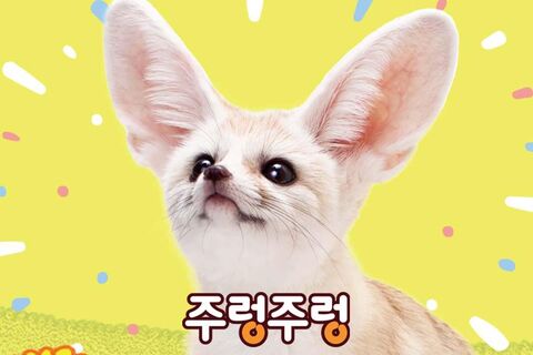 경주 티켓·입장권 - [경북]주렁주렁 실내 동물원 경주점