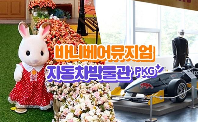 [경주] 바니베어뮤지엄+자동차박물관 볼거리 패키지 입장권