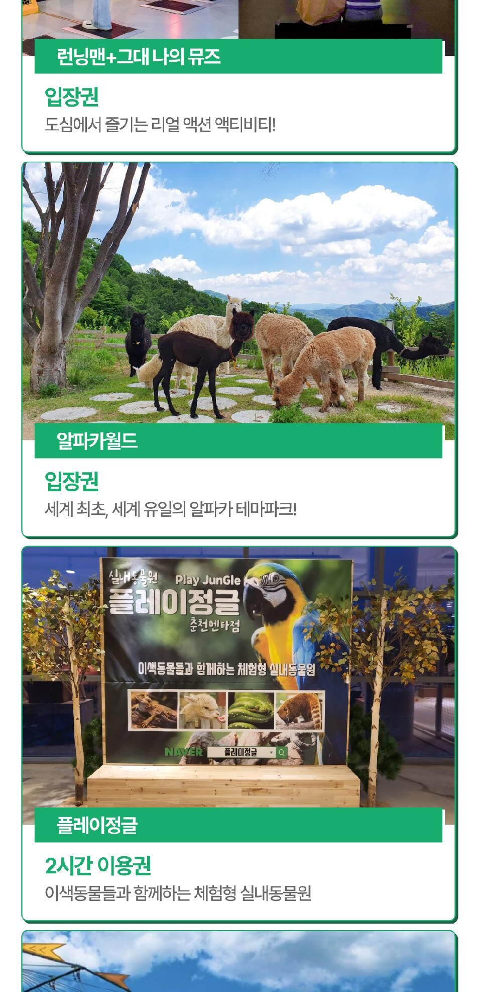 [강원] 랜드마크 패키지 이용권  상세 이미지 12