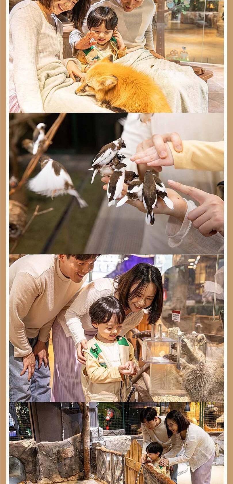 [경기]주렁주렁 실내 동물원 동탄점 상세 이미지 8