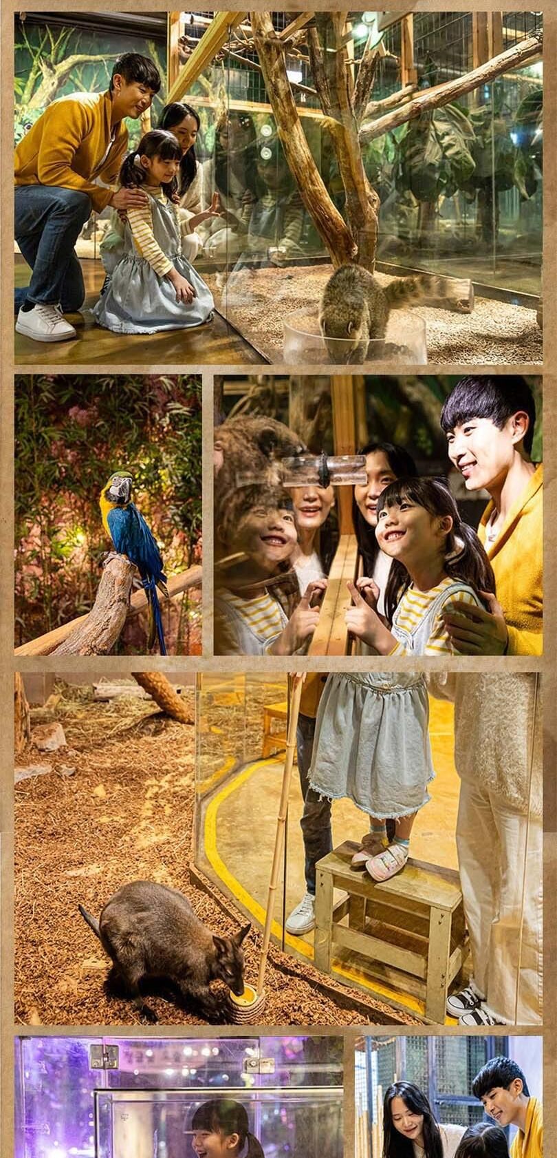 [경북]주렁주렁 실내 동물원 경주점 상세 이미지 4