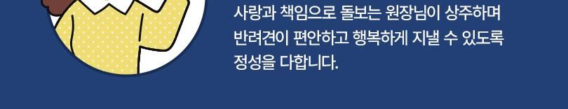 옐레드 더북한산점 애견유치원 애견호텔 이용권 상세 이미지 13