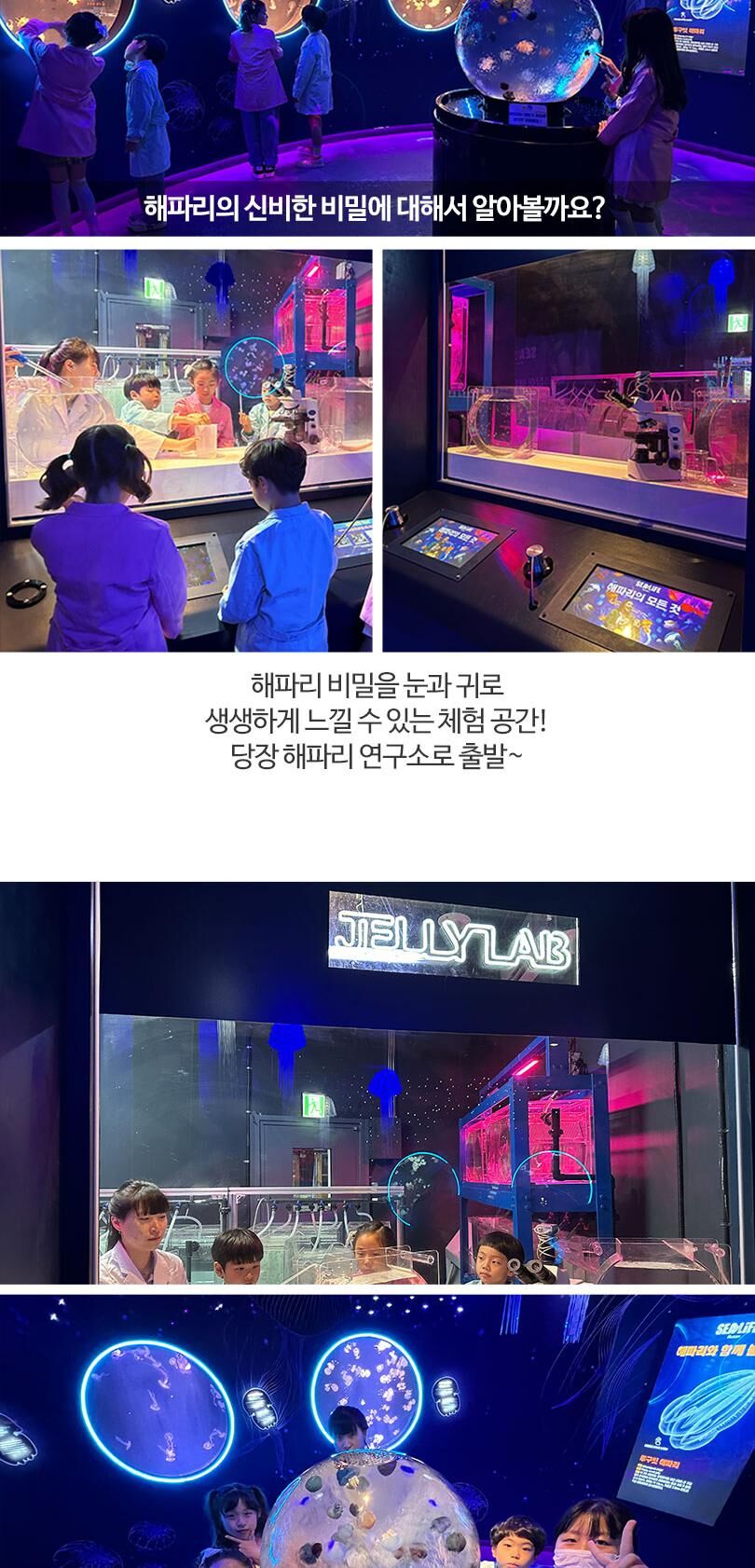 [부산] 아쿠아리움 시티즈 원더월드 입장권 상세 이미지 6