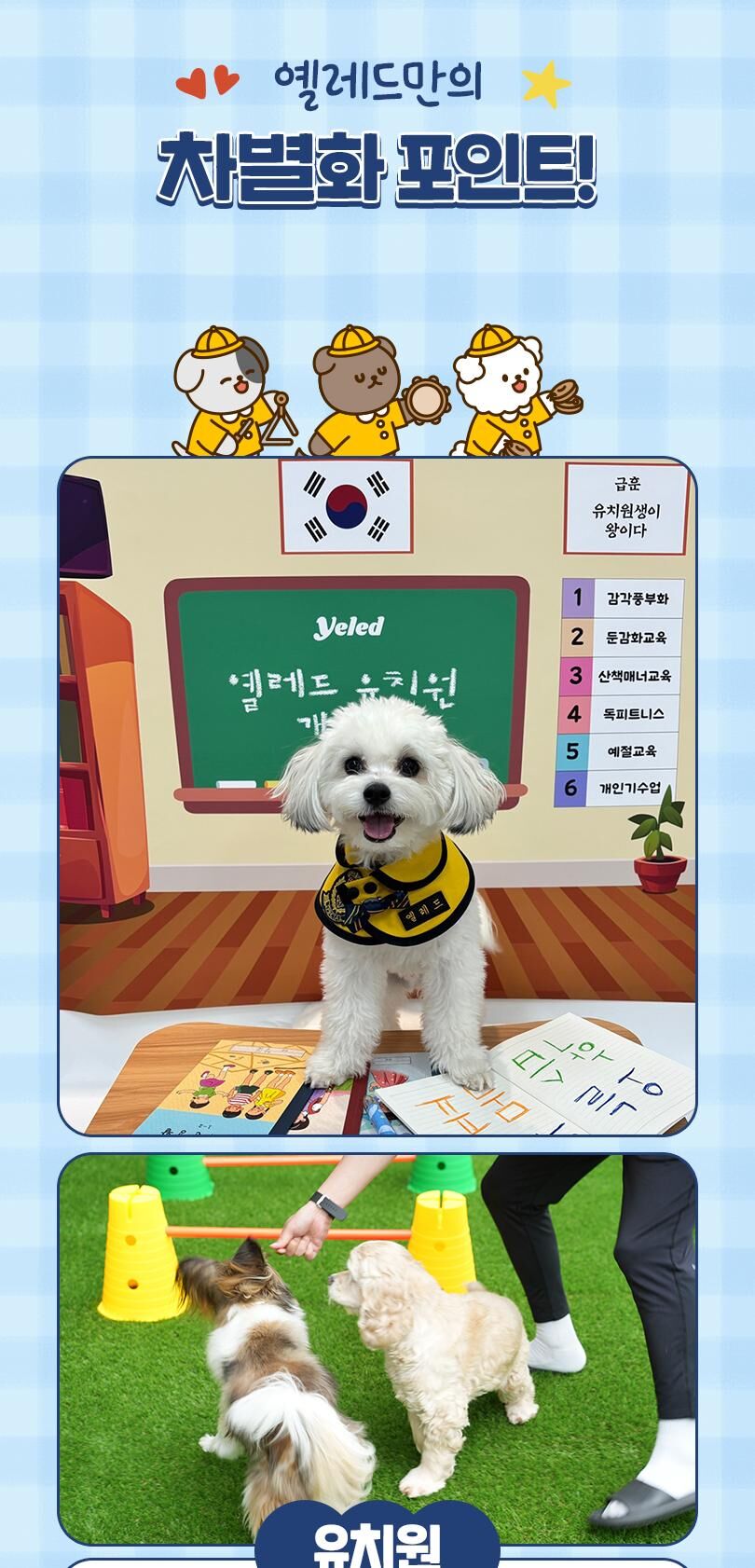 옐레드 인천구월점 애견유치원 애견호텔 이용권 상세 이미지 3