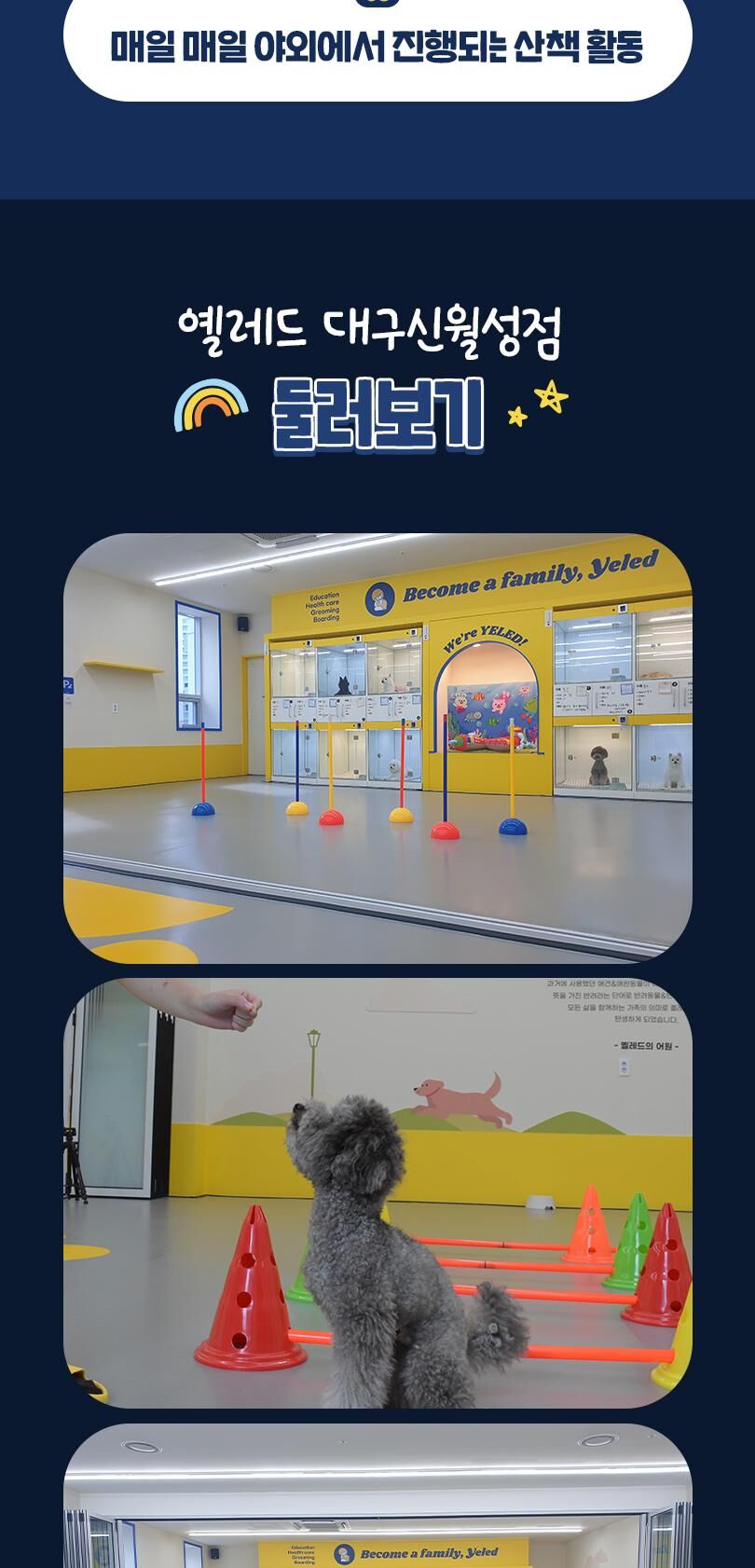 옐레드 대구신월성점 애견유치원 애견호텔 이용권 상세 이미지 11
