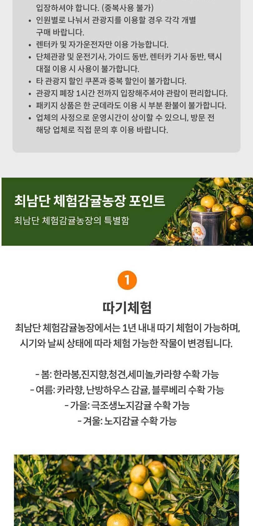 [제주] 제주 최남단 체험감귤농장 상세 이미지 3