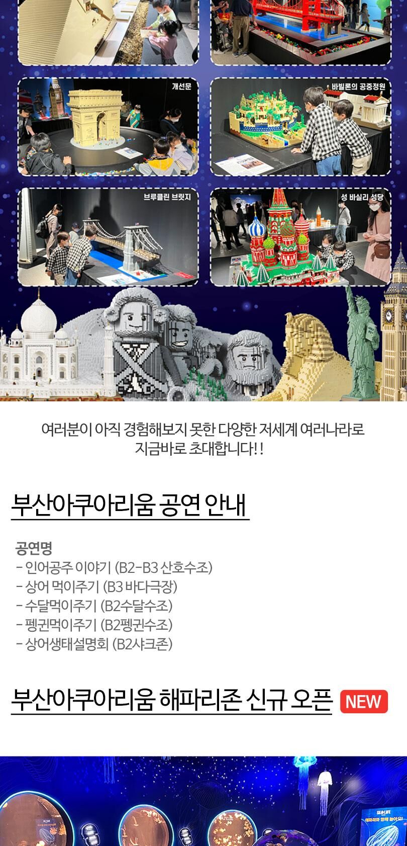 [부산] 아쿠아리움 시티즈 원더월드 입장권 상세 이미지 5