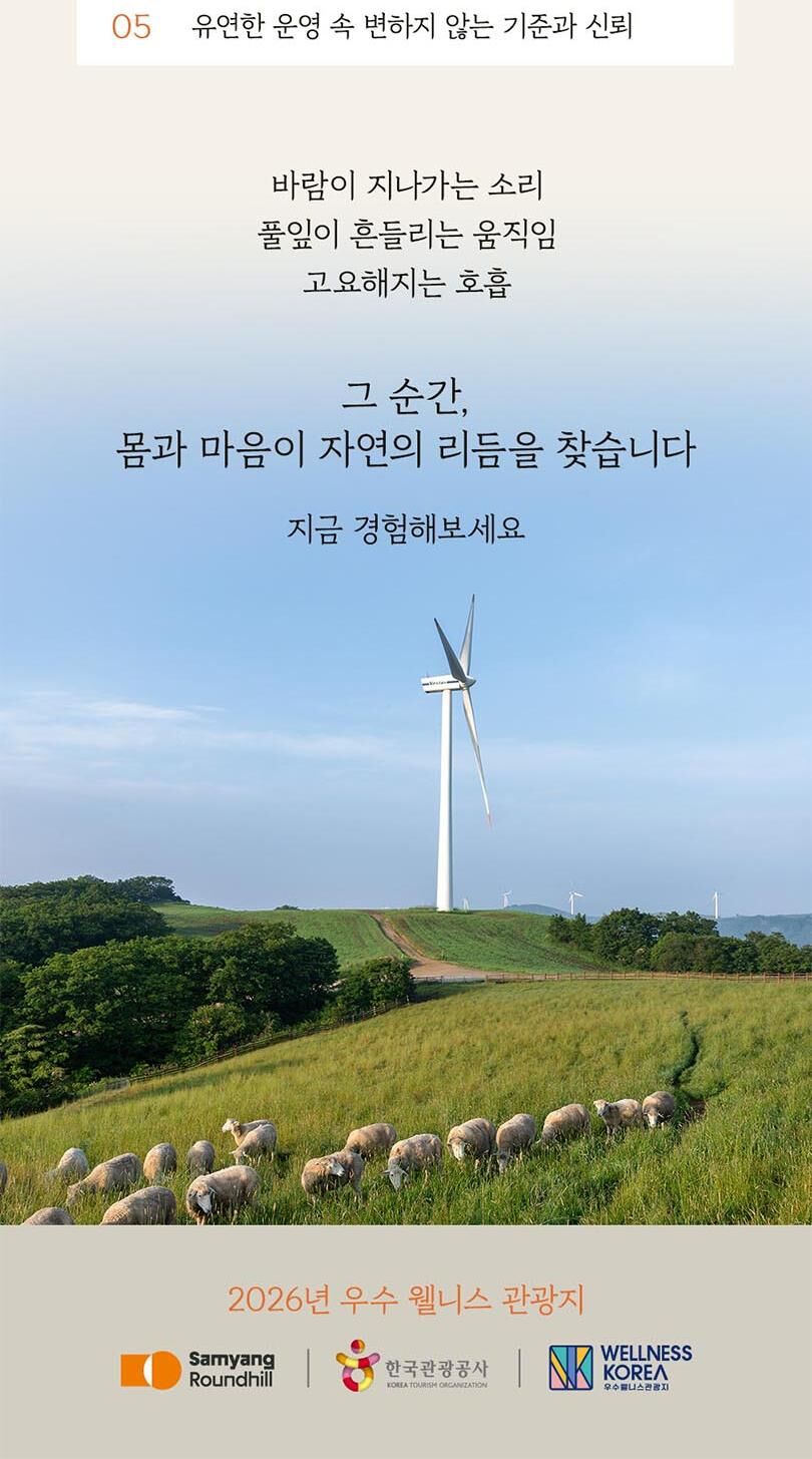 [강원 평창] 삼양라운드힐 웰니스프로그램: REED워킹&싱잉볼 상세 이미지 6