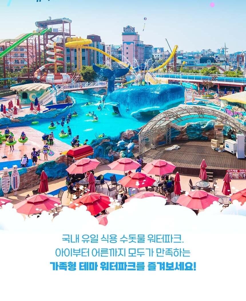[대천] 마스타대천워터파크 이용권(하이 시즌) 상세 이미지 12