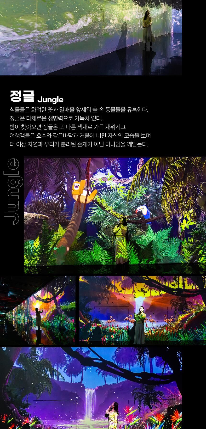 [경주] 정글 미디어파크 통합권+또봇정크아트(+엑스포통합권) 패키지 상세 이미지 16