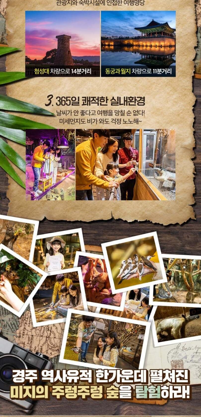 [경북]주렁주렁 실내 동물원 경주점 상세 이미지 3