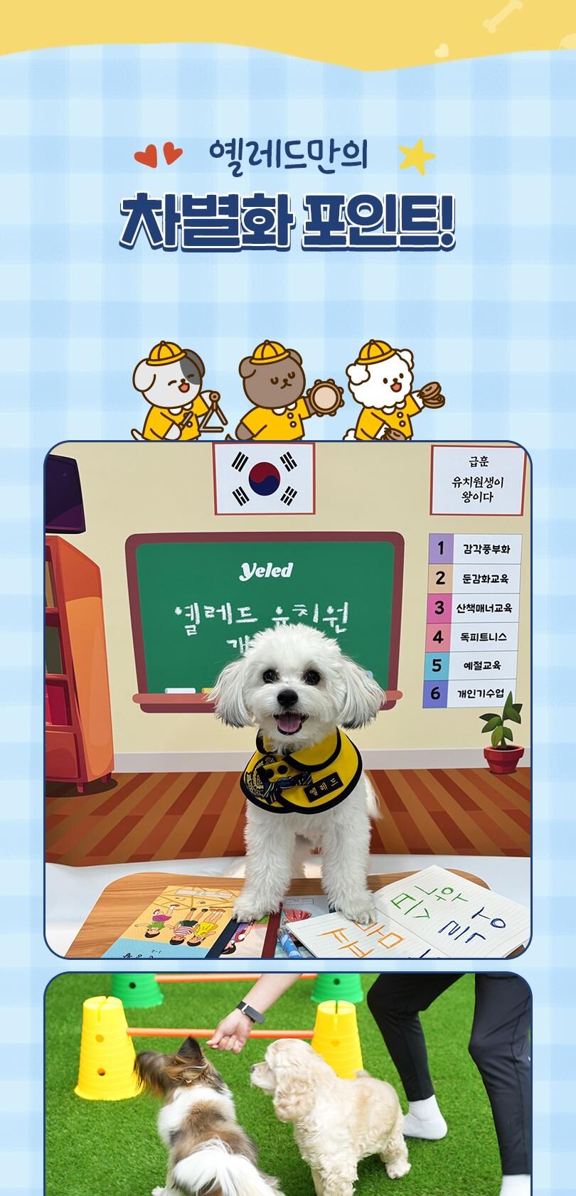 옐레드 대구신월성점 애견유치원 애견호텔 이용권 상세 이미지 3