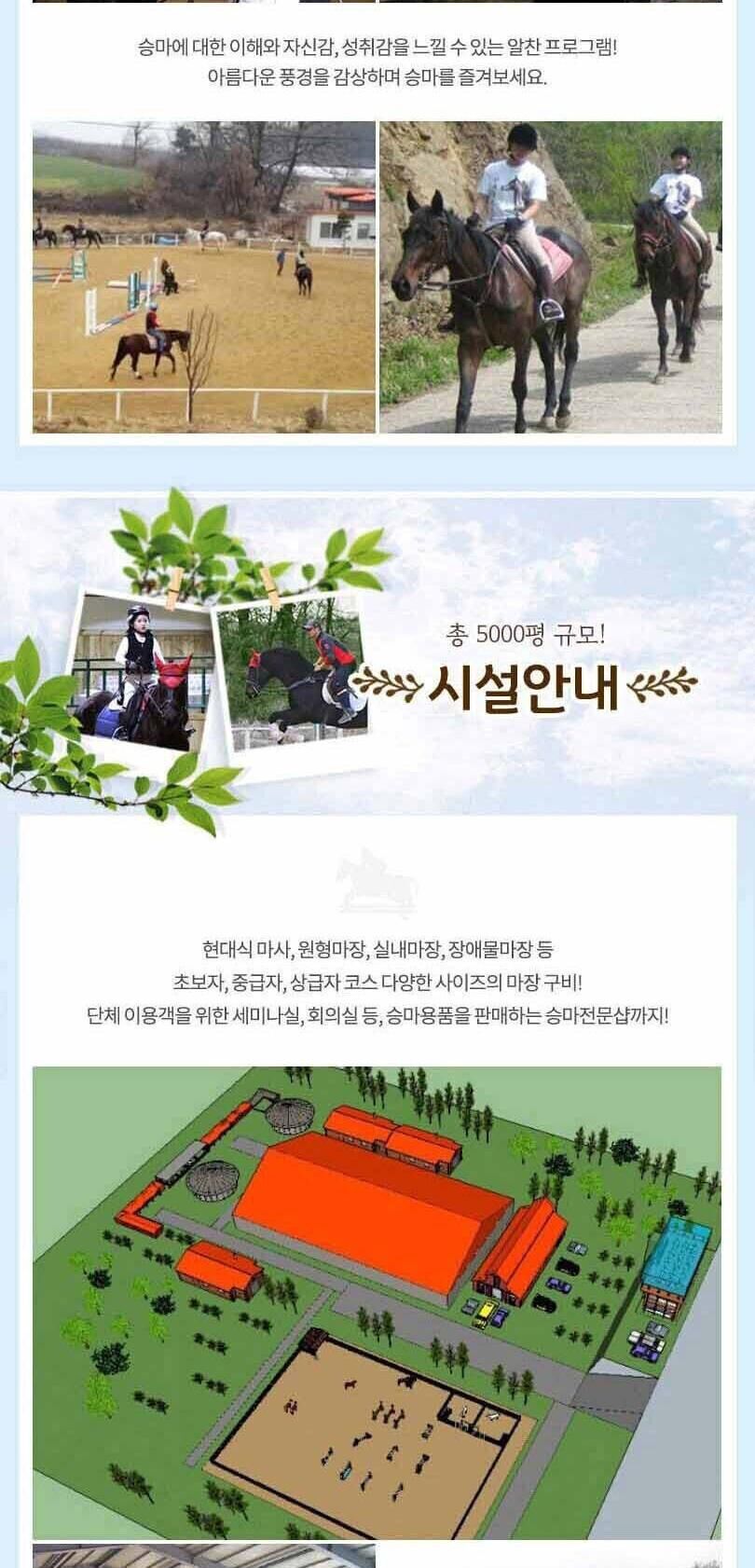 [경기 이천] 파밀리에 승마장 승마체험(입장권/승마체험/레슨/재활) 상세 이미지 7