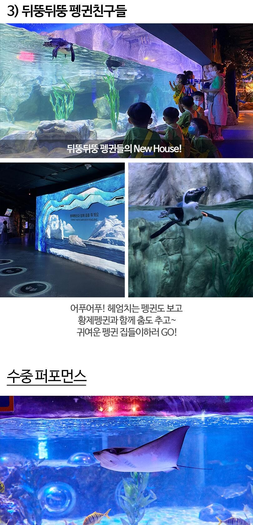 [부산] 아쿠아리움 시티즈 원더월드 입장권 상세 이미지 13