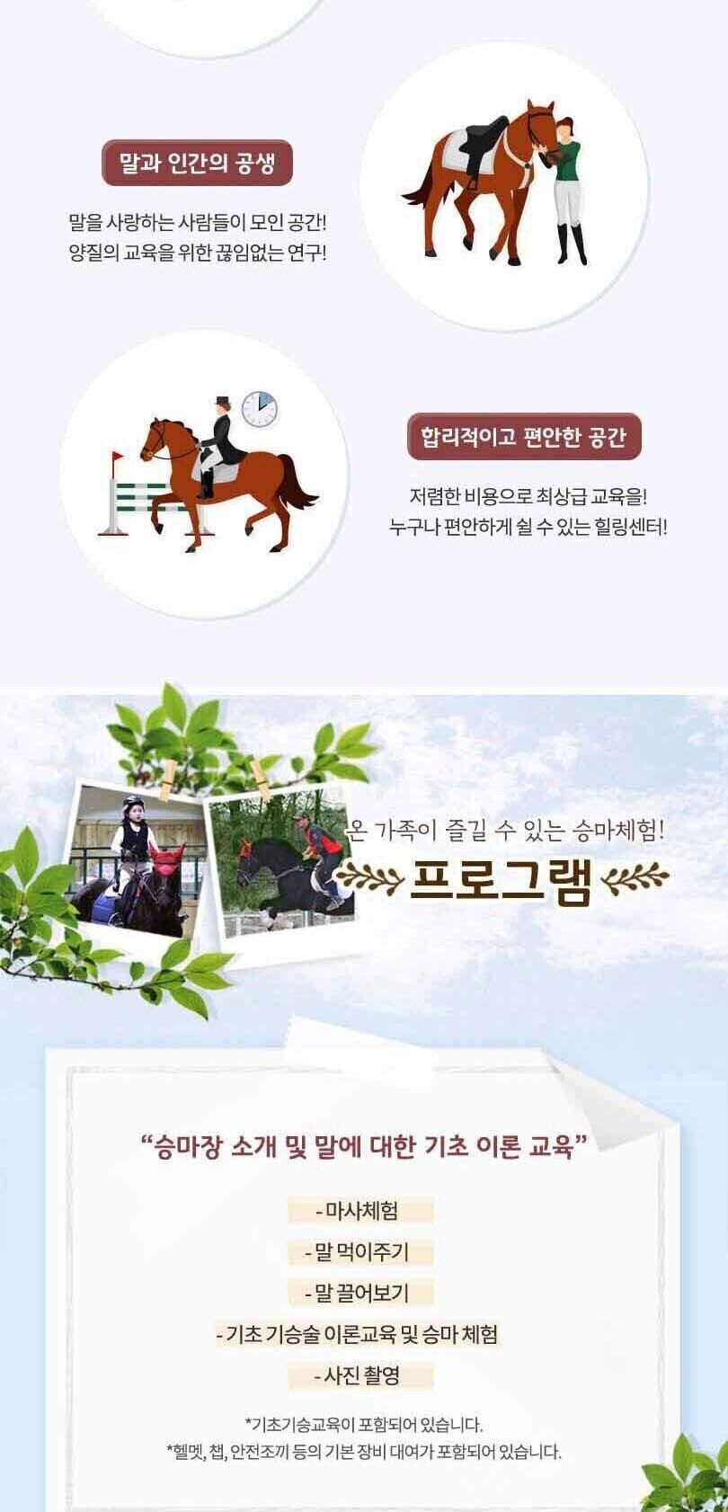 [경기 이천] 파밀리에 승마장 승마체험(입장권/승마체험/레슨/재활) 상세 이미지 5