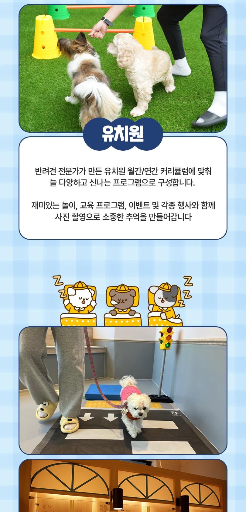 옐레드 더북한산점 애견유치원 애견호텔 이용권 상세 이미지 4