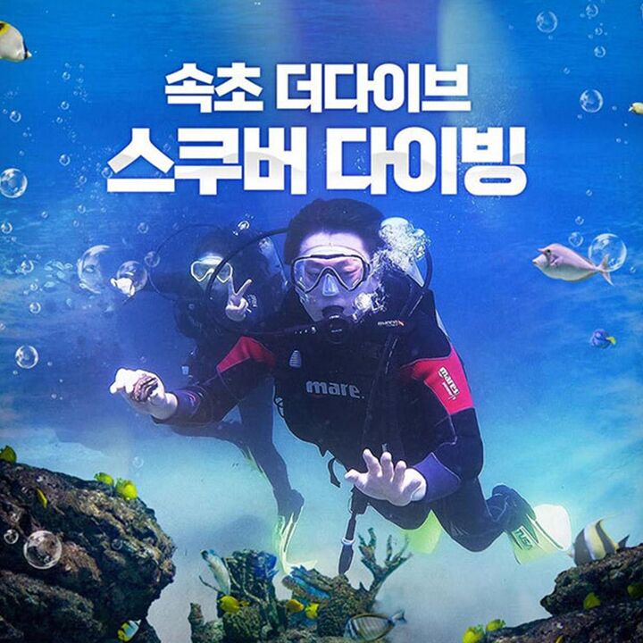 속초 체험·액티비티 - [강원 속초] 더다이브(The Dive) 스쿠버 다이빙