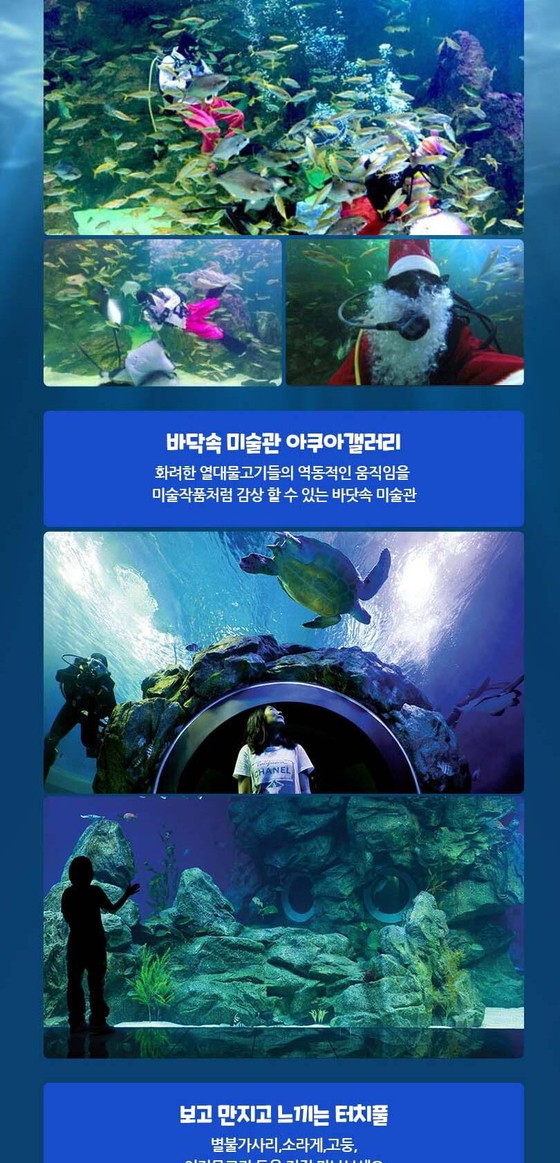 [경북]울진 왕피천 아쿠아리움 상세 이미지 6