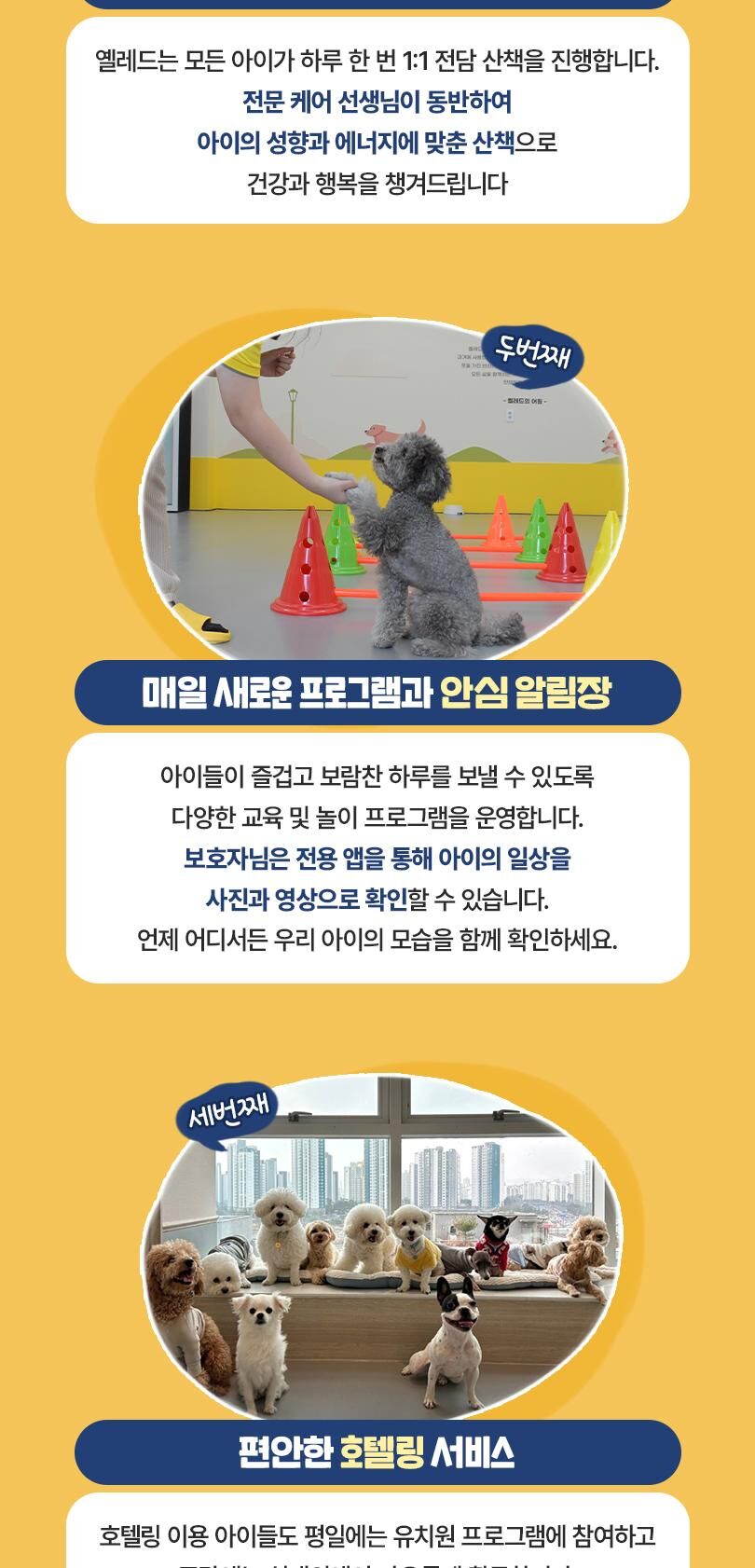 옐레드 더북한산점 애견유치원 애견호텔 이용권 상세 이미지 8