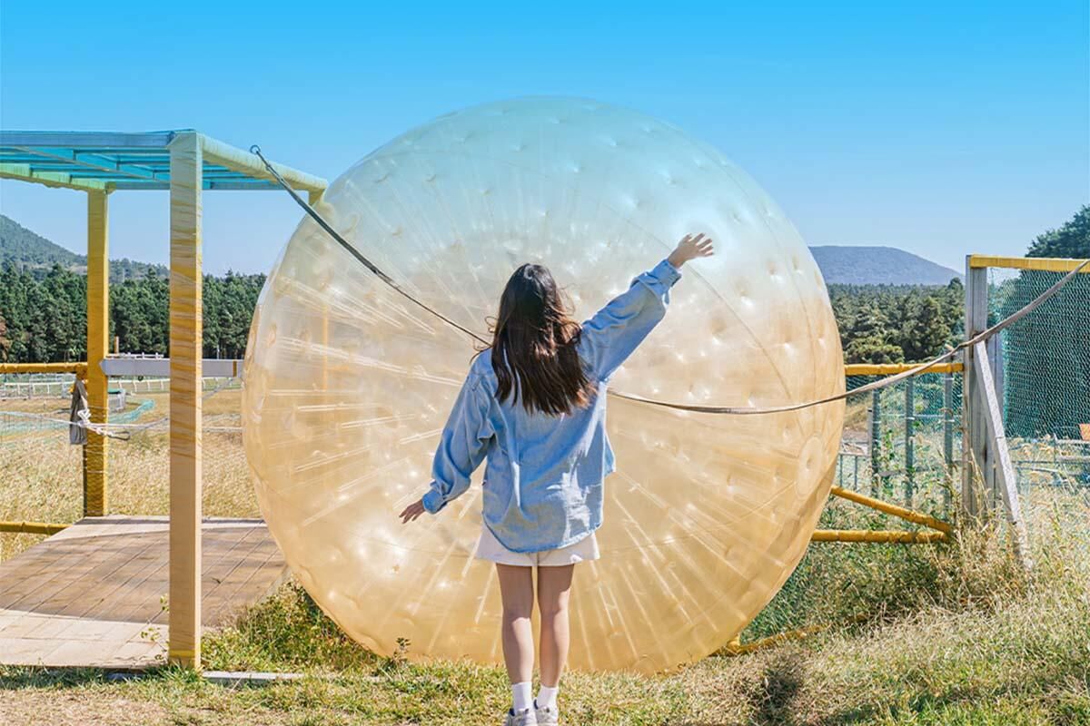 [제주]빅볼랜드