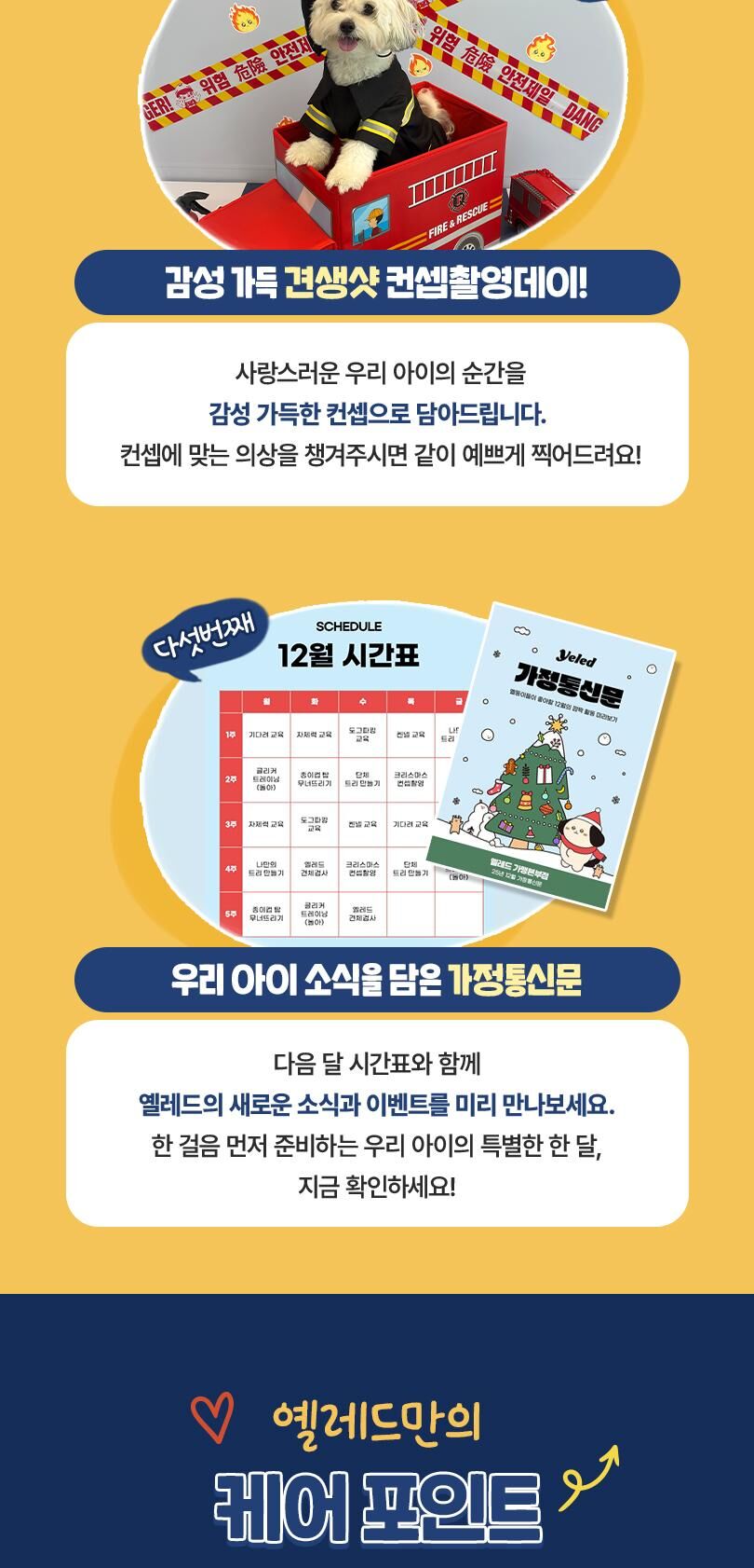 옐레드 대구신월성점 애견유치원 애견호텔 이용권 상세 이미지 9