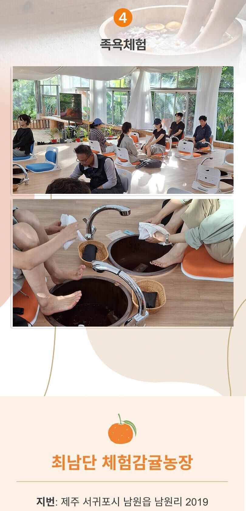 [제주] 제주 최남단 체험감귤농장 상세 이미지 7