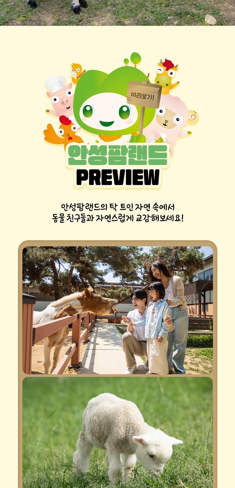 안성팜랜드 입장권(6/8~8/31) 상세 이미지 11