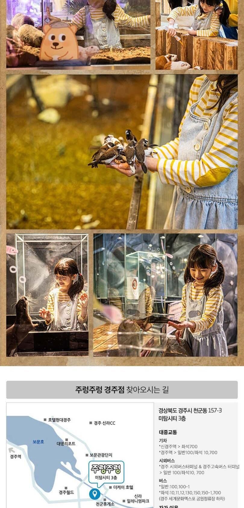 [경북]주렁주렁 실내 동물원 경주점 상세 이미지 5