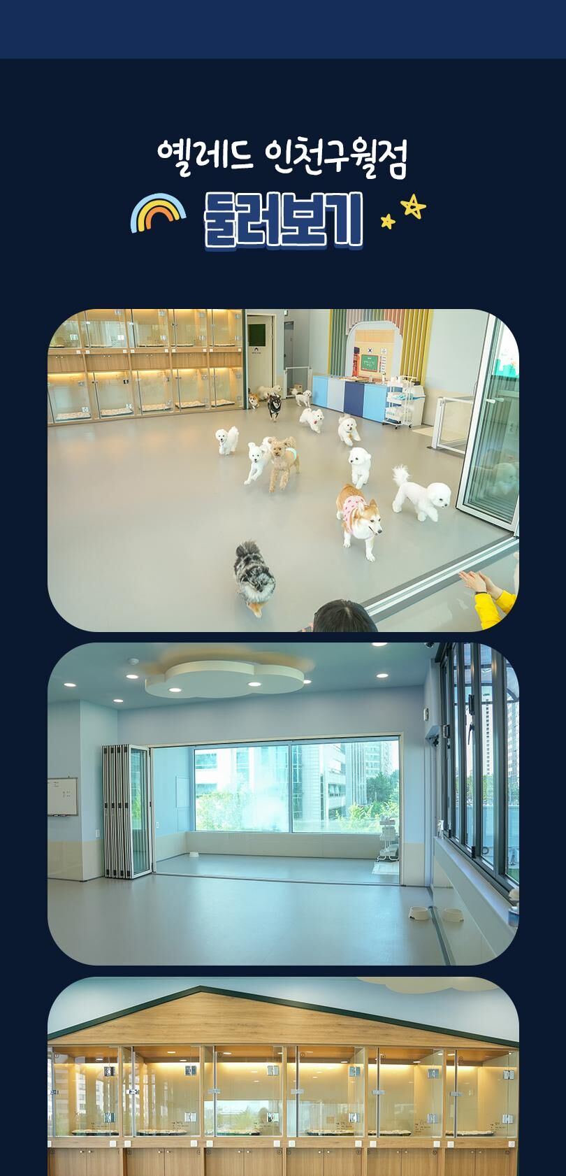 옐레드 인천구월점 애견유치원 애견호텔 이용권 상세 이미지 11