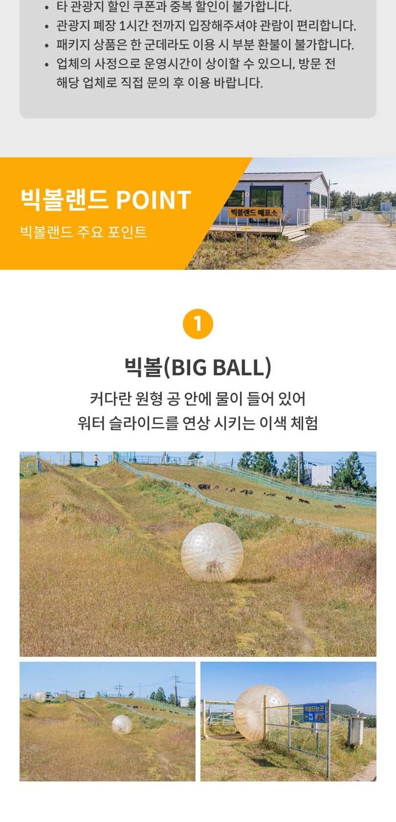 [제주]빅볼랜드 상세 이미지 3