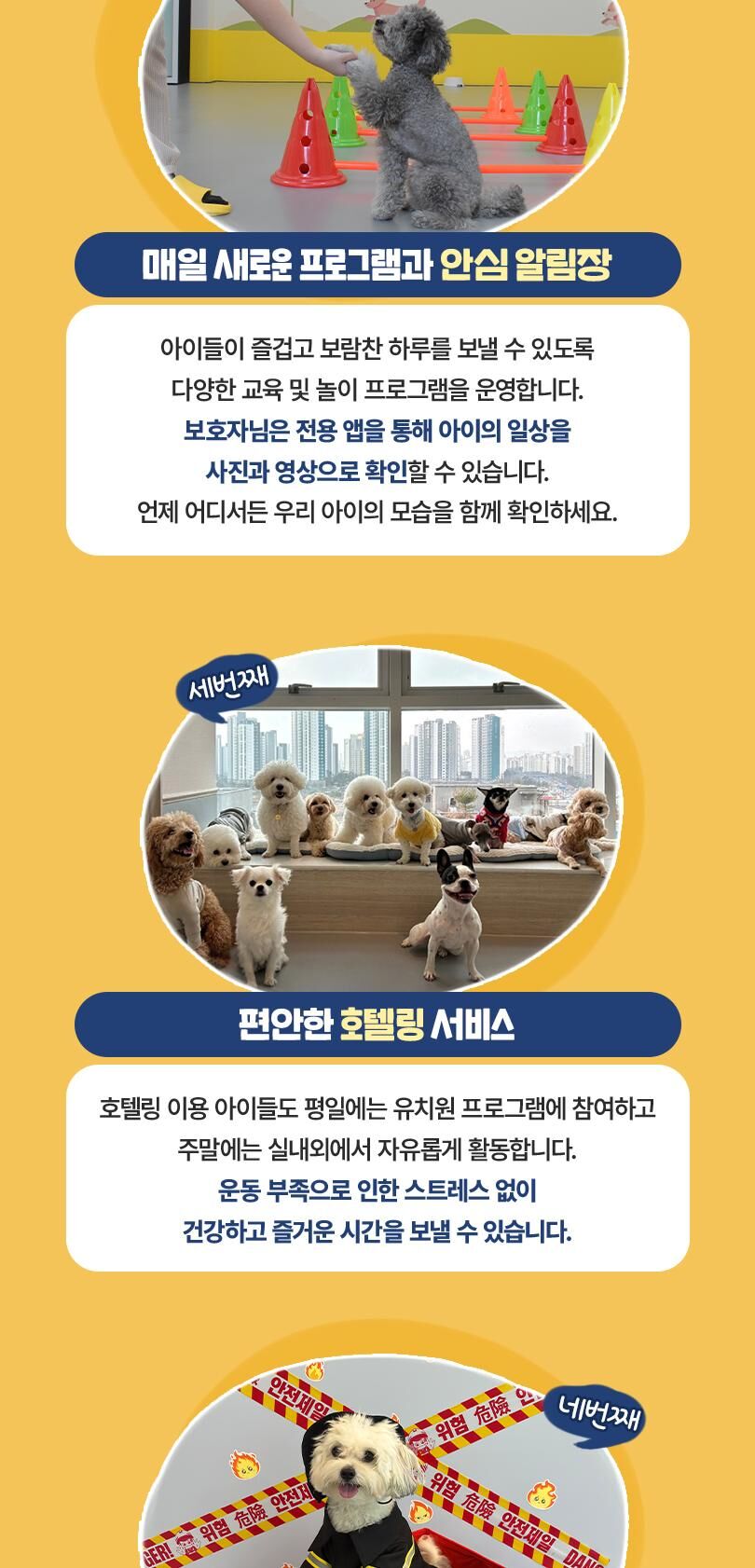 옐레드 인천구월점 애견유치원 애견호텔 이용권 상세 이미지 8