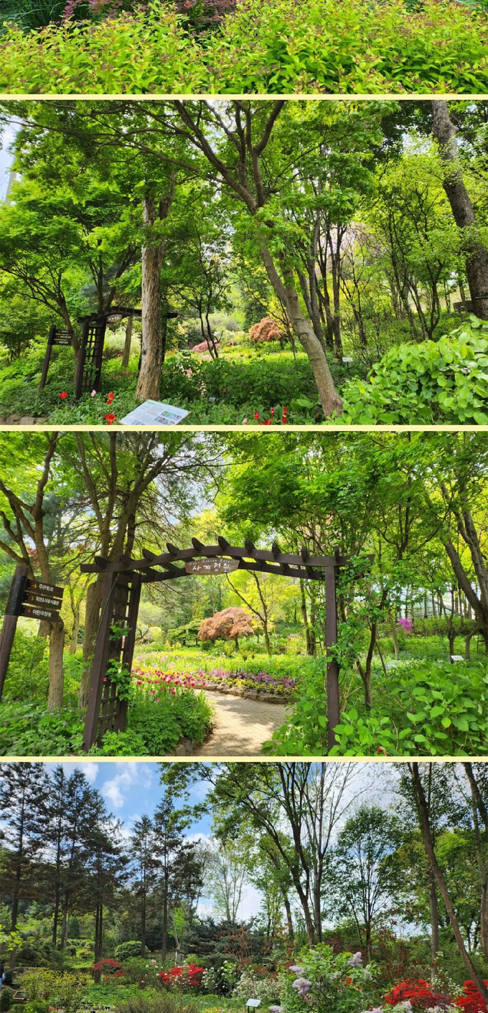 [경기] 용인 한택식물원 단독상품 상세 이미지 11