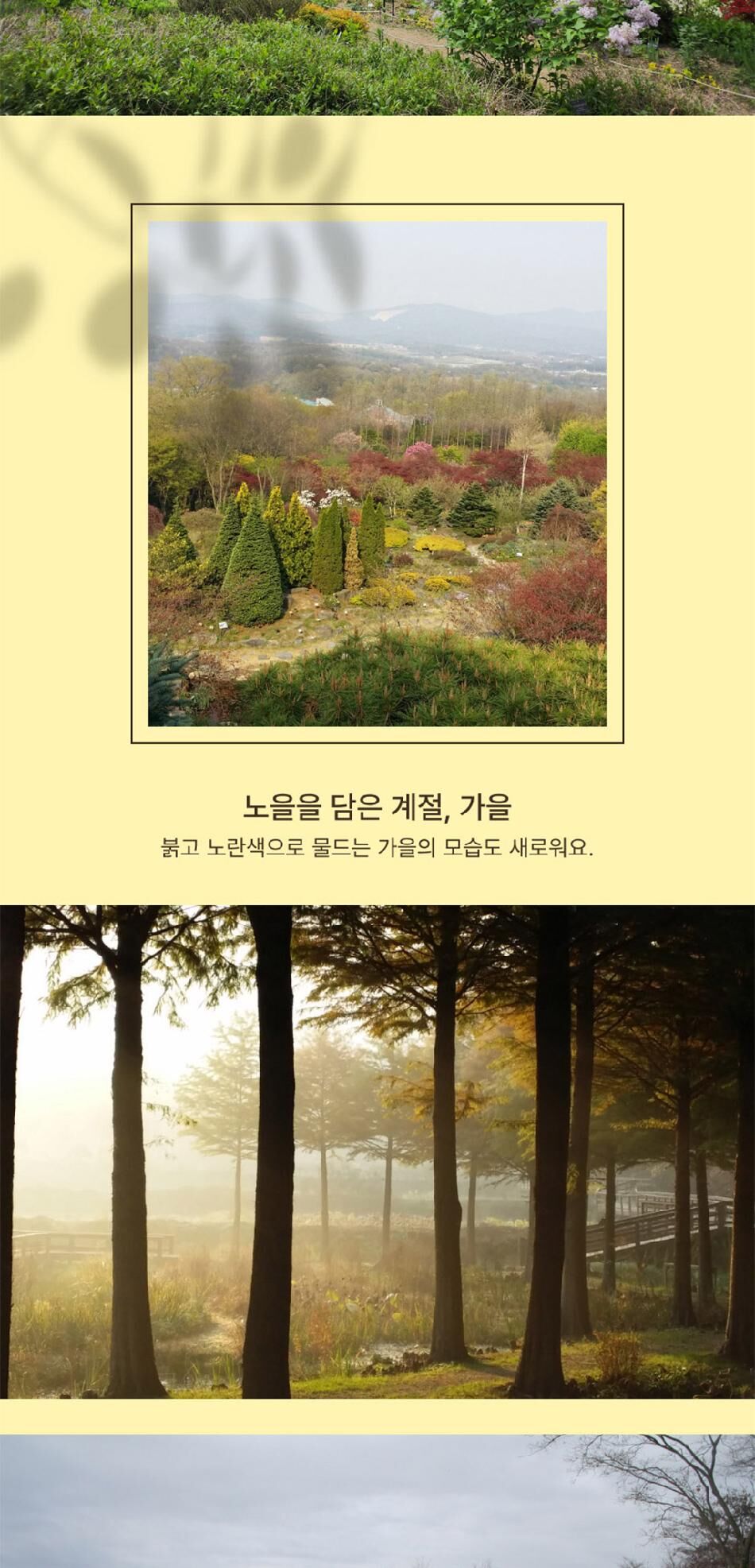 [경기] 용인 한택식물원 단독상품 상세 이미지 12