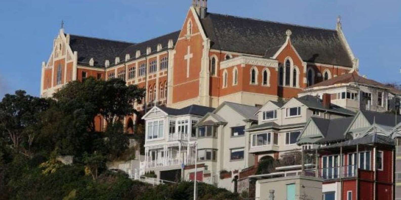 현지 키위 가이드와 함께하는 시티 하이츠 프라이빗 투어 6시간 상세 이미지 3