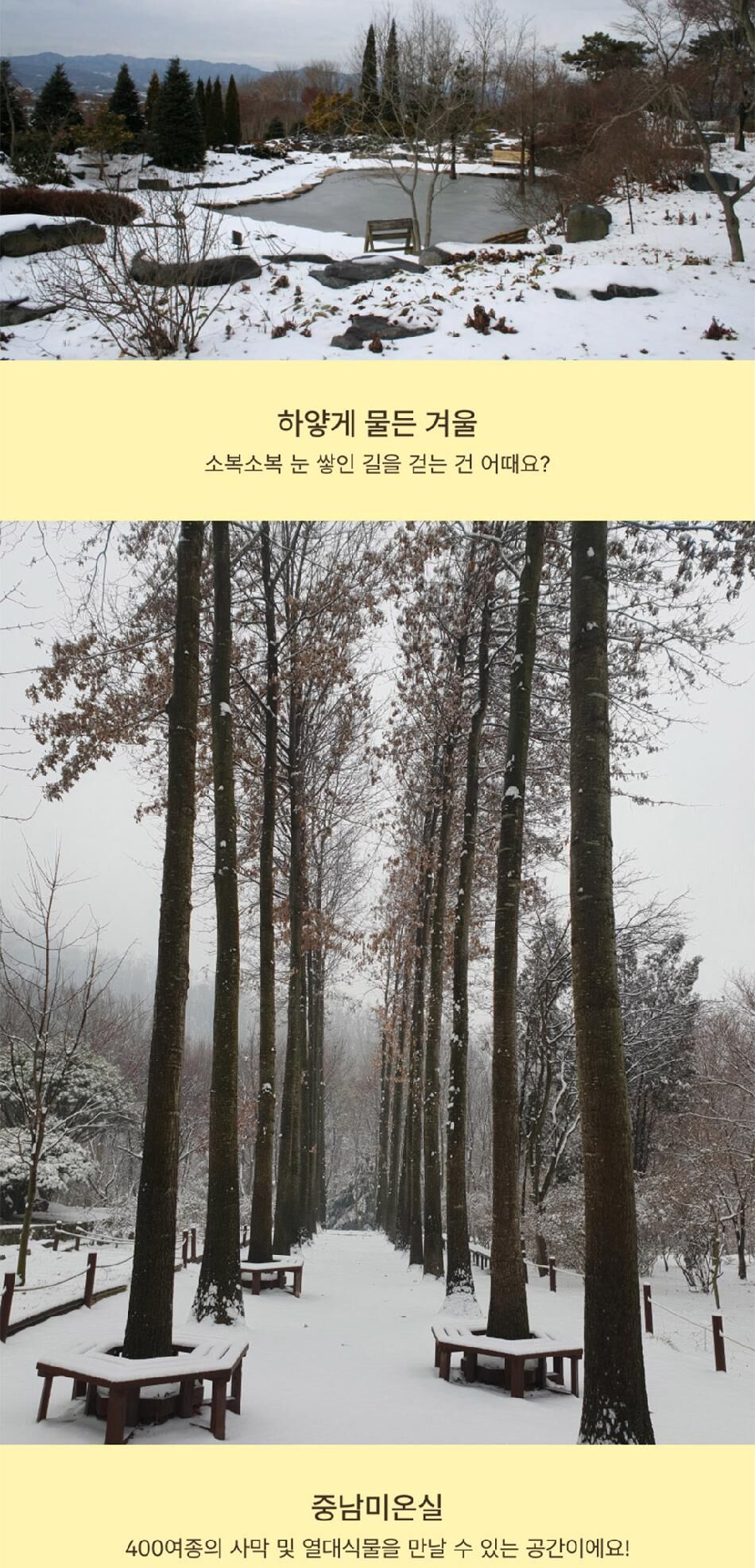 [경기] 용인 한택식물원 단독상품 상세 이미지 13